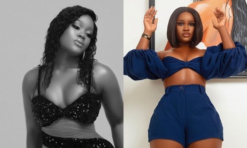 Why Cee-C refused to support Kayamata, Bleaching Products