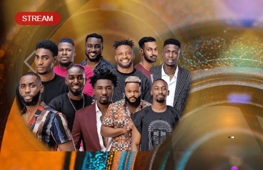 BBNaija 2021: First night in the House without female Housemates