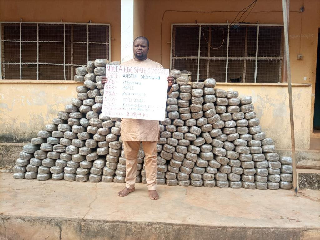 NDLEA raids Abuja garden, arrests four women, two others for selling drug cookies and noodles