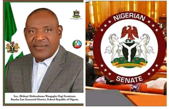 Bayelsa Senator, Degi facilitates over 60 projects, sponsors 4 bills, moves 8