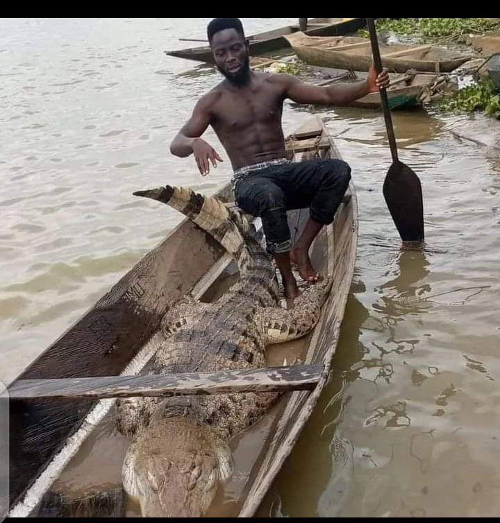 A young boy kills a Giant Crocodile in Bayelsa state( photos)