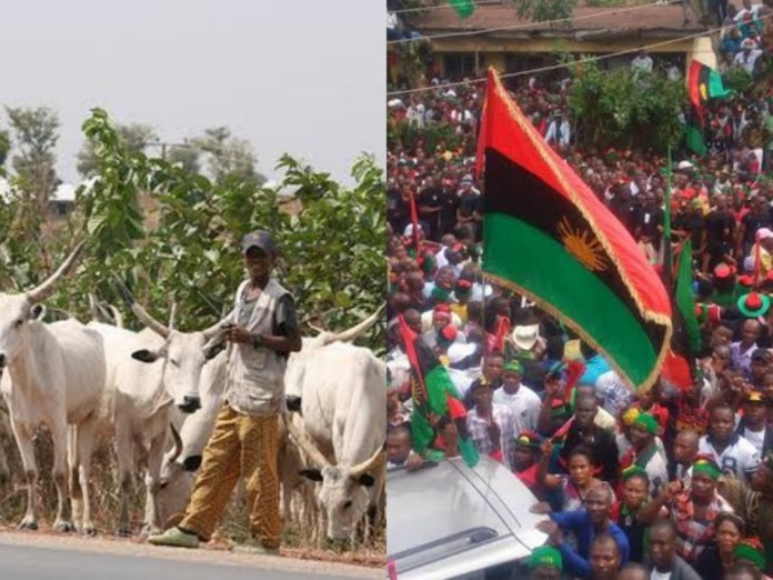 Cow ban in Southeast from April irreversible – IPOB