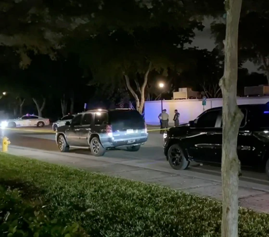 Florida father kills his children then himself in murder-suicide