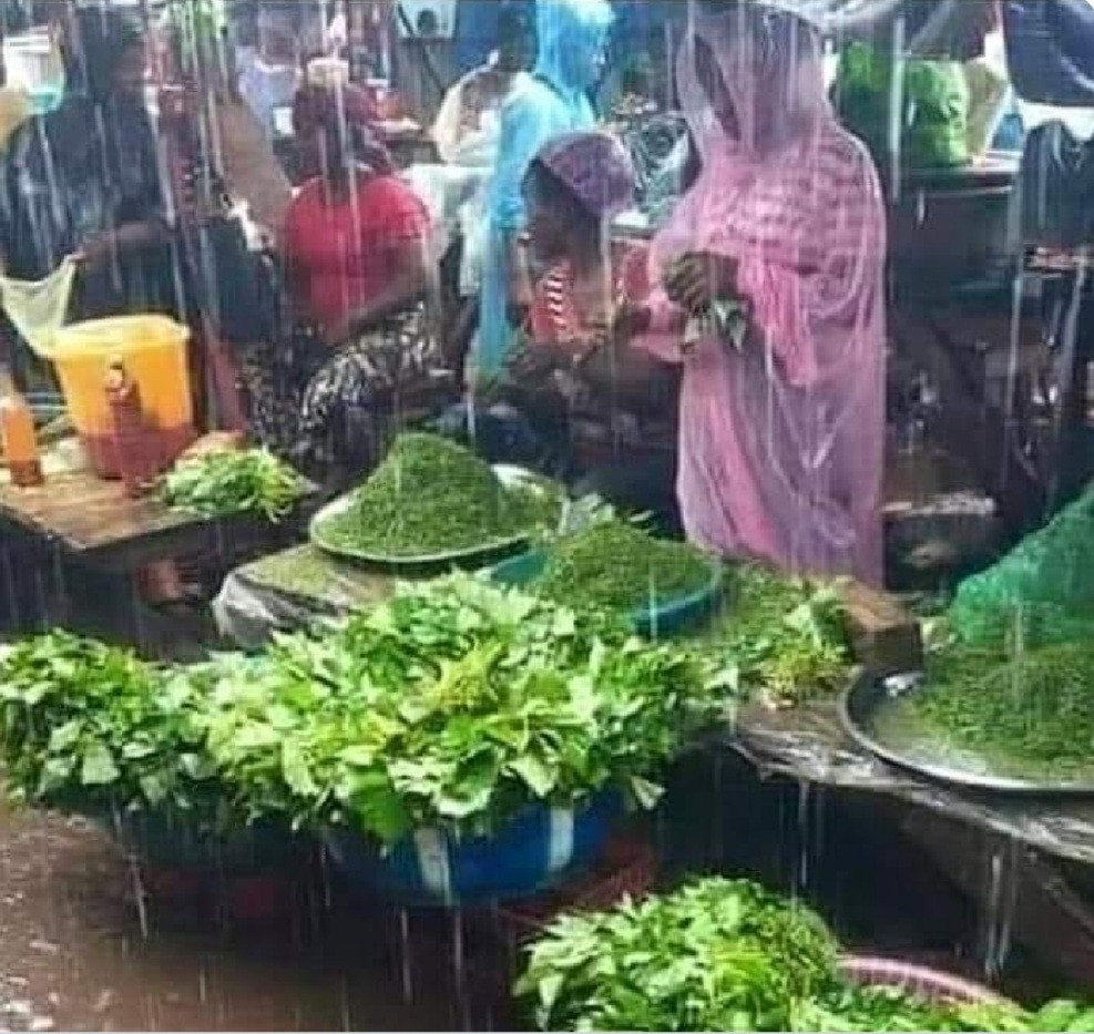 Woman recounts calling off her wedding after discovering her man's mother sells Ugu in the market