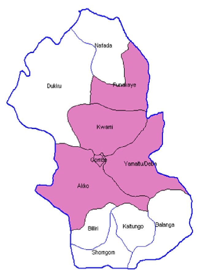 Fake doctor nabbed in Gombe state