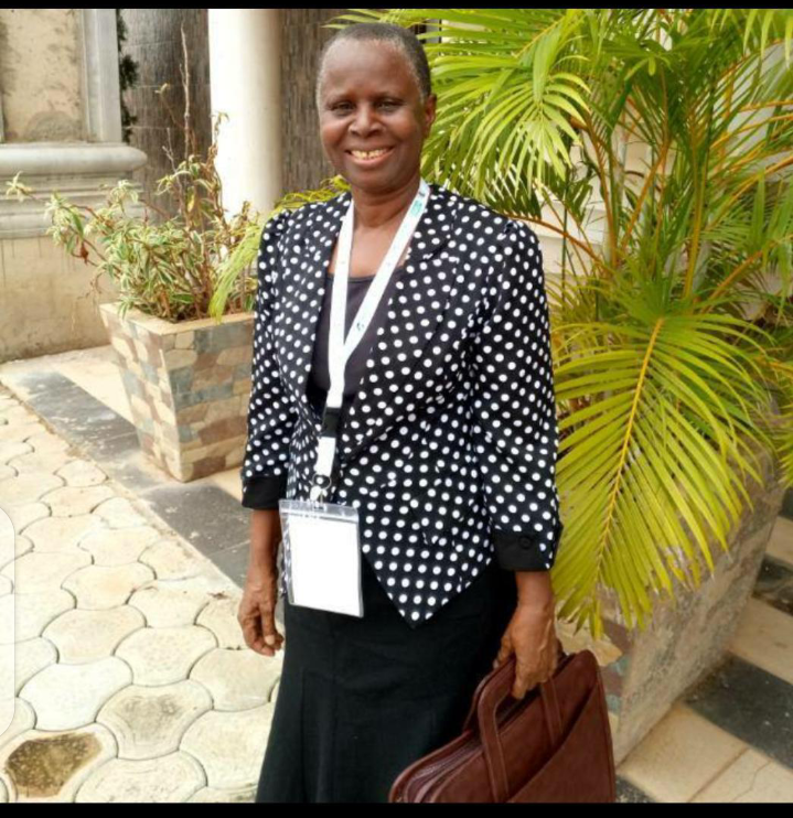 Prof Gumus to sue concern Nigeria group, Sahara Reporters, People’s Gadgette for defamation over alleged APC membership