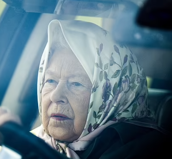 Queen Elizabeth reunites with her grandchildren and greatgrandchildren as she makes remarkable recovery from Covid