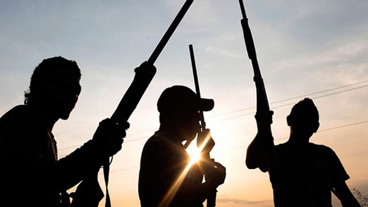 Tax collector and three others killed by unknown gunmen in Benue