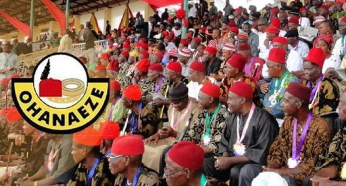 2023 presidency: 'Be more serious' - Ohanaeze tell Igbo aspirants