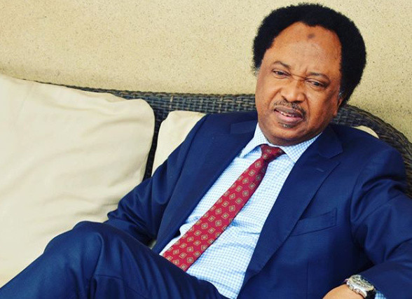 Nigeria is just the African version of Ukraine at the moment - Senator Shehu Sani