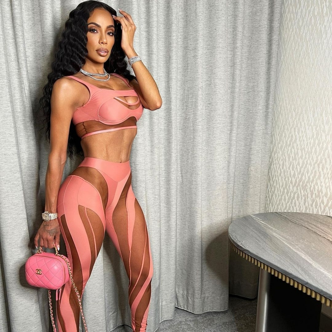 Erica Mena warns women about having kids with narcissists as she appears to throw shade at Safaree