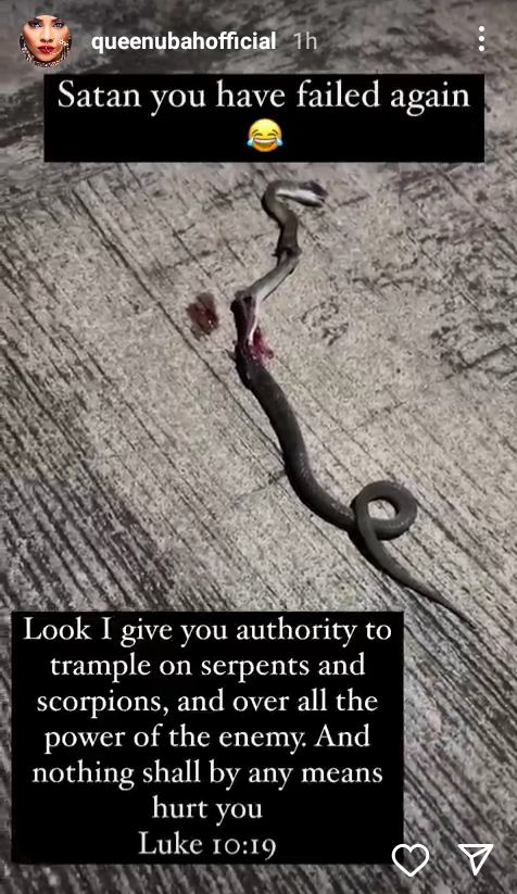 Nigerian beauty queen narrates how snake was killed in her house a day after she had terrible dream about snakes