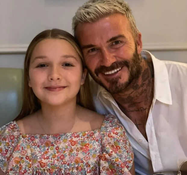 David Beckham’s ‘stalker’ went to daughter Harper’s school pretending to be another pupil’s mum