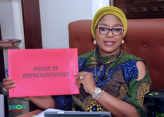 Popular Lagos Lawyer Declares For A Seat At The Federal House, Promises Uncommon Representation