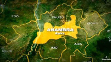 Police arrest 32 suspects, recover arms in Anambra