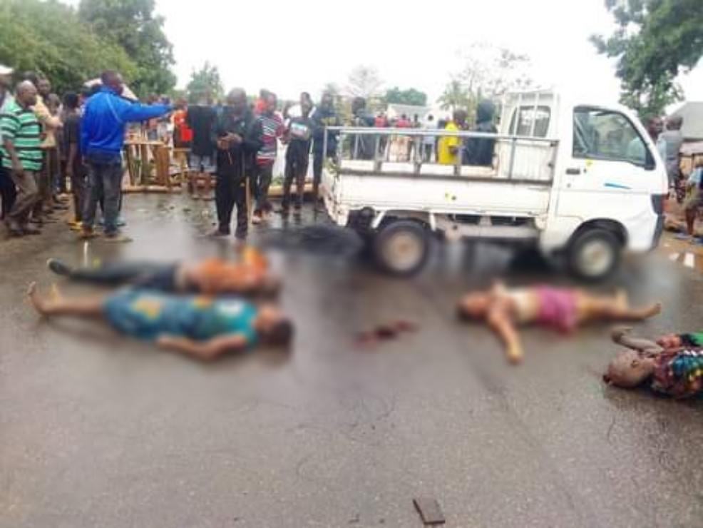 Suspected Fulani herdsmen slaughter 12 persons including women and children in Benue community (graphic photos)