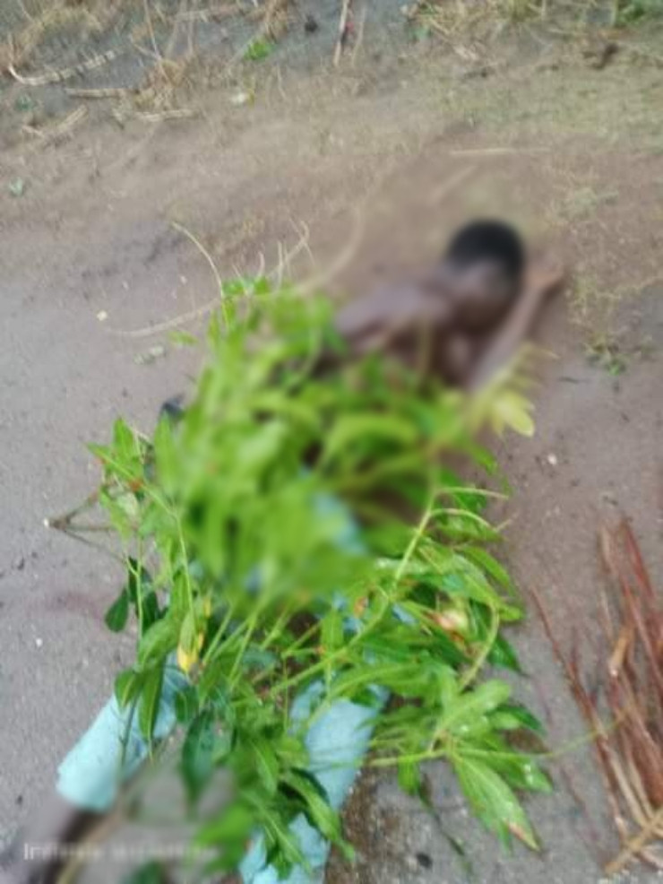 Suspected Fulani herdsmen slaughter 12 persons including women and children in Benue community (graphic photos)