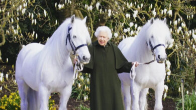 Queen Elizabeth poses with her fell ponies to mark 96th birthday