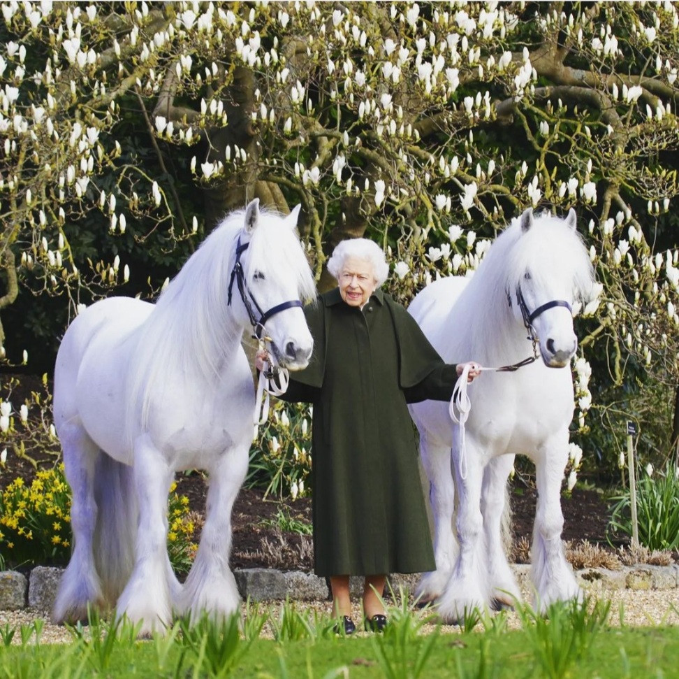 Queen Elizabeth poses with her fell ponies to mark 96th birthday