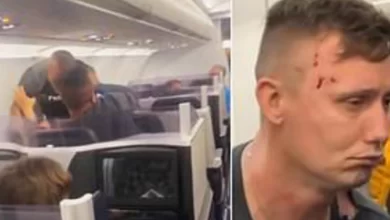 Shocking moment Mike Tyson loses his cool and punches plane passenger for being ‘over-zealous’ (video)