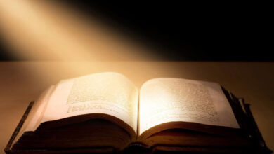 Daily Reading for Personal Growth 24 April 2022 || 1 John 5:1-6