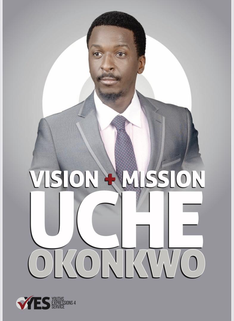 House of Representatives: Uche Okonkwo Obtains APGA Nomination Form Idemili North and South*