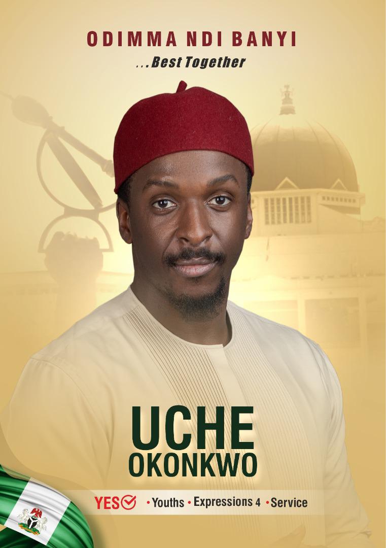 House of Representatives: Uche Okonkwo Obtains APGA Nomination Form Idemili North and South*