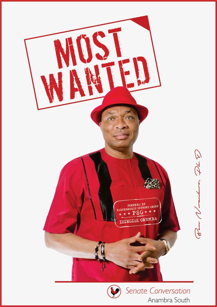 THE MOST WANTED: *If Isingidi Picks the Senate Ticket from APGA*