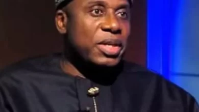 Rotimi Amaechi says the elite are the problem of Nigeria