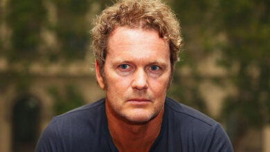Actor Craig McLachlan admits performing a sex act on a banana and sending videos to a co-worker pretending to masturbate
