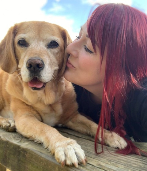 Woman quits job to spend time with her sick dog diagnosed with paralysis and dementia