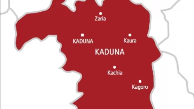 Ansaru terrorists are protecting and indoctrinating some Kaduna communities – Community Leader
