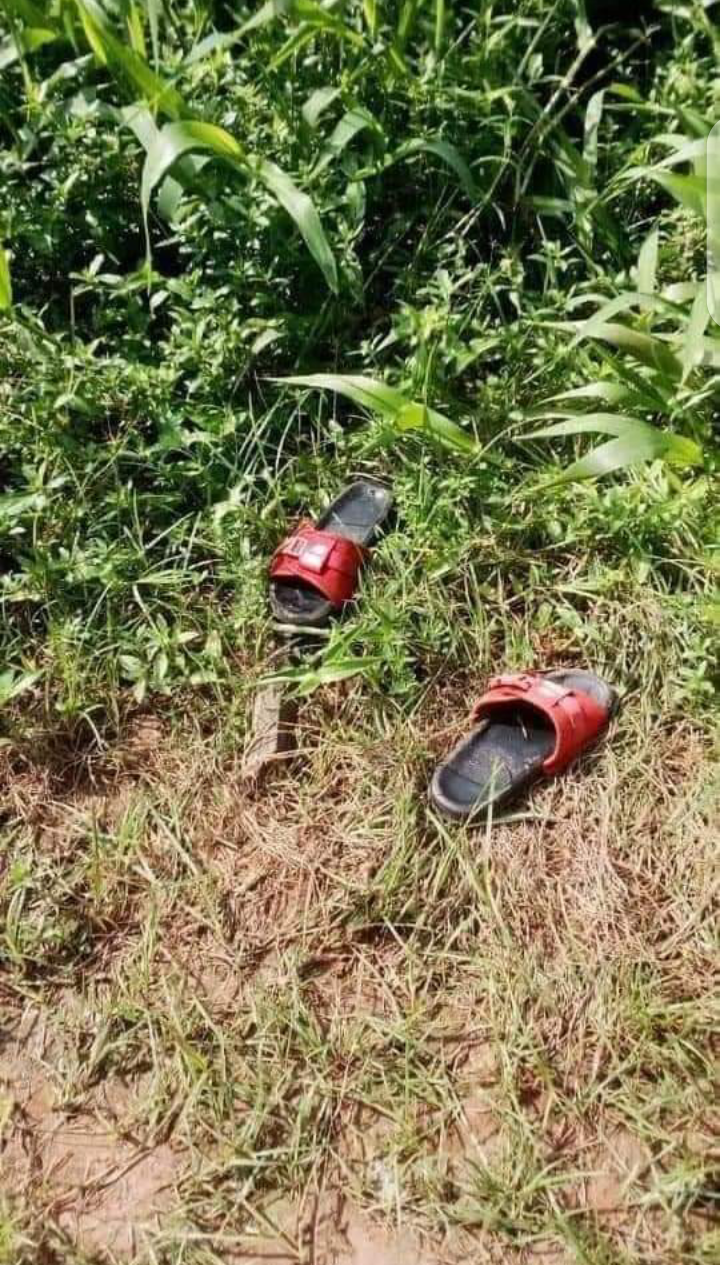 I don k!ll am finally!” 16 Year Old Boy Brags After St@bbing 35 Year Old Neighbor to De@th