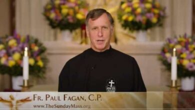 Sunday Mass Homily 8th May 2022 || Fourth Sunday of Easter