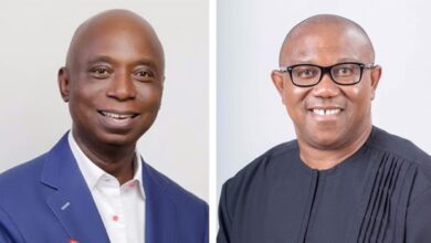 Ned Nwoko: Labour Party Needs Control Of States To Make Obi President