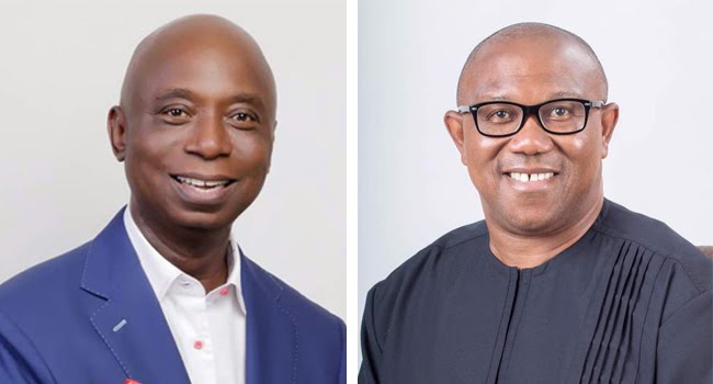 Ned Nwoko: Labour Party Needs Control Of States To Make Obi President