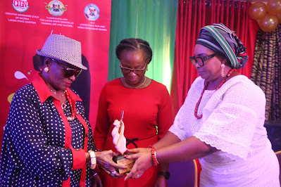 Joy Akinyemi, Lagos State Debuts Culture & Entertainment Exhibition With CDGN*
