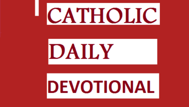 Catholic Daily Reflections 1st July 2022 | Mercy for the Sinner