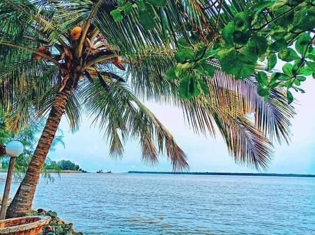 HON. Lucky Okodeh Commend His Excellency Senator Douye Diri over the Flag off of the NEMBE/ BRASS ROAD CONSTRUCTION.