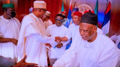 Presidential Candidate: APC Governors Meeting Deadlocked After Buhari’s Stance – 