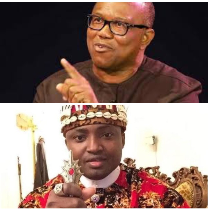 Peter Obi Should Forget About Presidency, You Can Never Win - IPOB