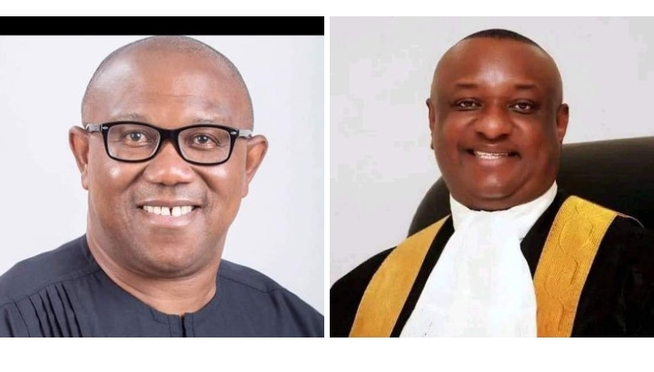 Peter Obi cannot win Local Government Chairmanship position in Lagos State, unfit to rule Nigeria. Tinubu is the solution we need”