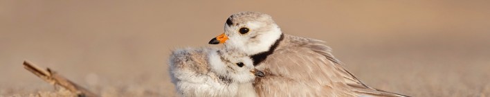 June 21st 2022 Our Daily Bread | ODB Tuesday – God Fights for Us