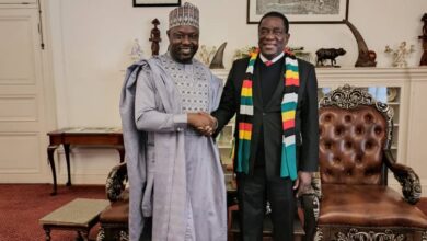 DOMAK Group Chair Meets President Mnangagwa Over 1.2m Housing Units.