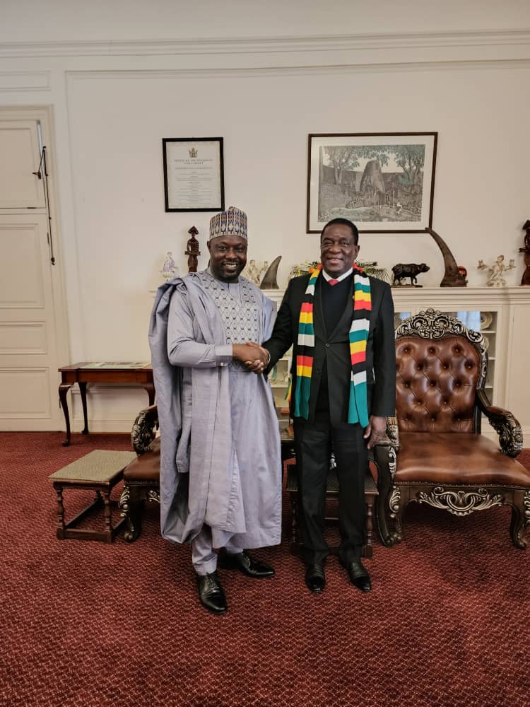 DOMAK Group Chair Meets President Mnangagwa Over 1.2m Housing Units.