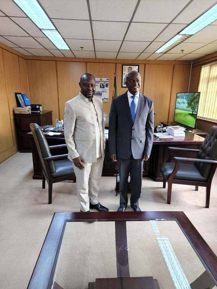DOMAK Group Chair Meets President Mnangagwa Over 1.2m Housing Units.