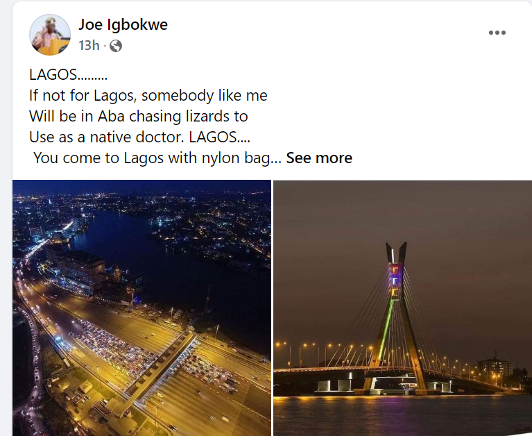 If not for Lagos, somebody like me will be in Aba chasing lizards to use as a native doctor - APC Chieftain Joe Igbokwe