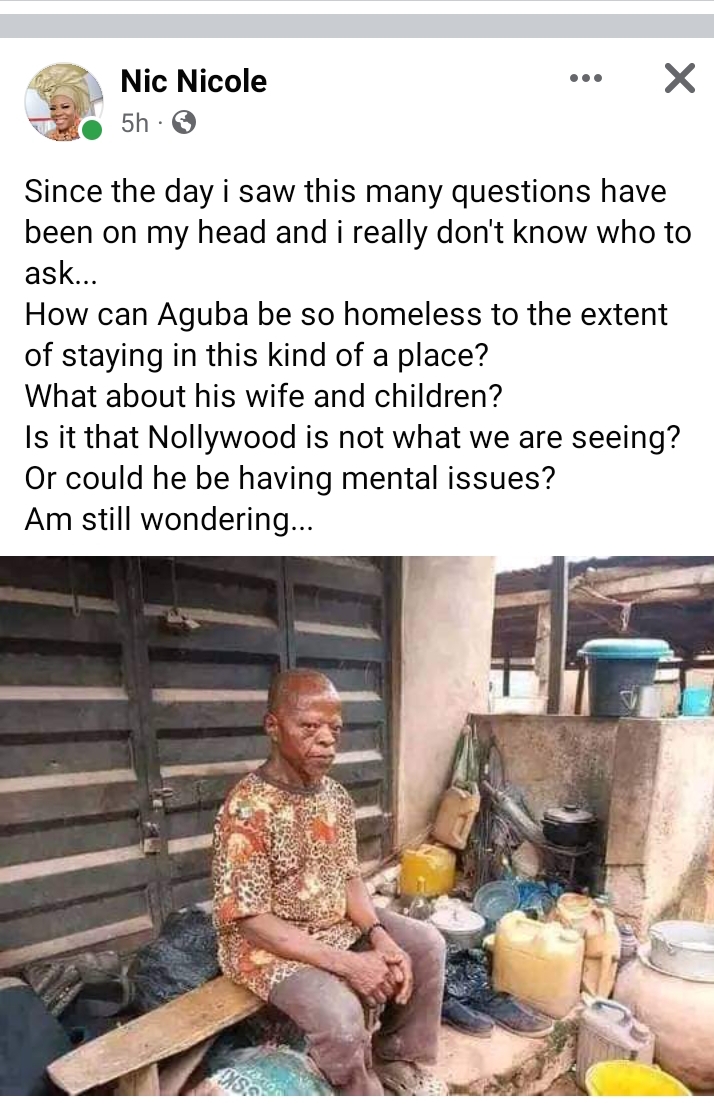 See question Bayelsa Base Entrepreneur Nic Nicole Ask Nollywood concerning the Homeless Actor