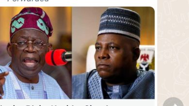 FINALLY: Tinubu Picks  Vice Presidential Candidate With the reason……..