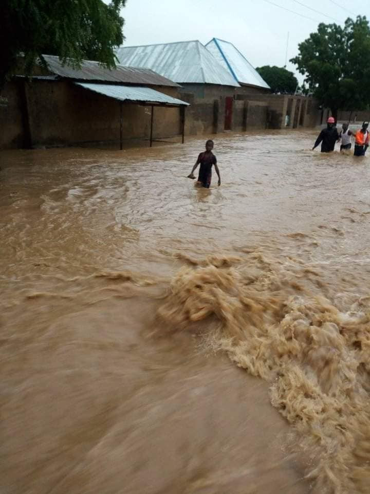 3-year-old boy dies, 100 houses destroyed as flood wrecks havoc in Gombe community